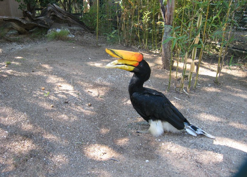 Tropical Zoo, France